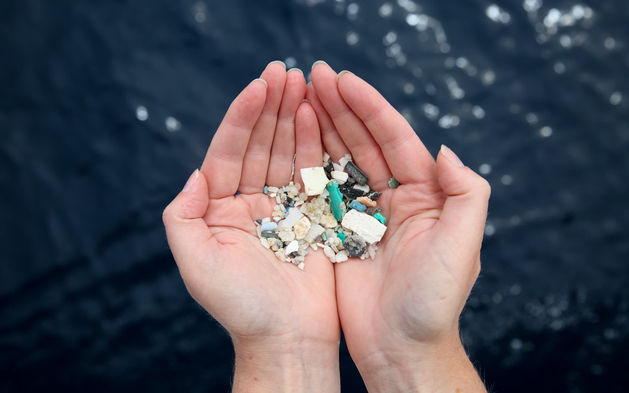 Cupped hands holding a sample of microplastics