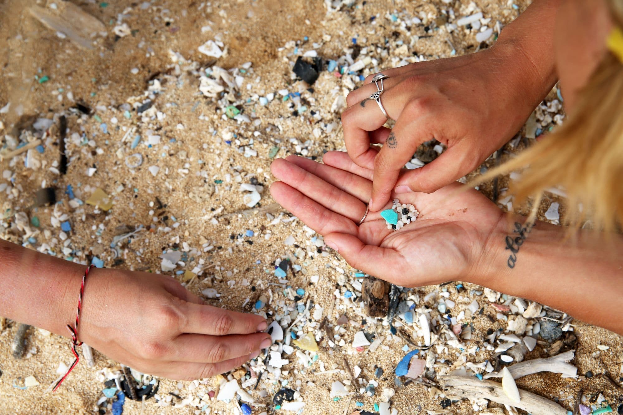 Two people sorting microplastics found on a beach