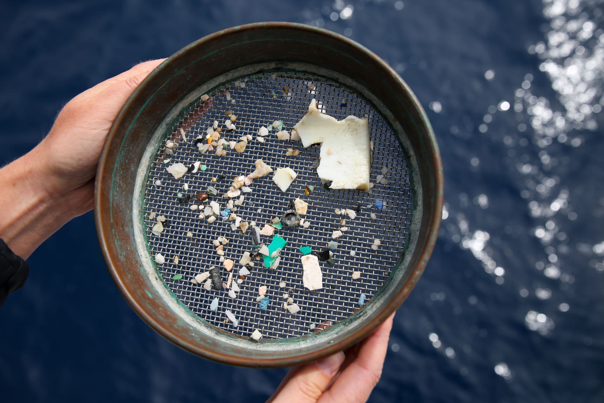 A sieve of sorted microplastics held above the ocean